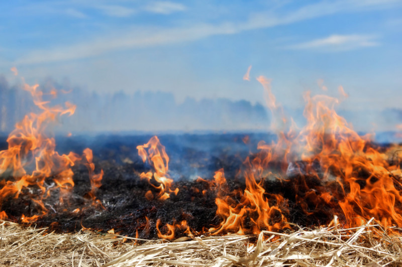 Grass burning