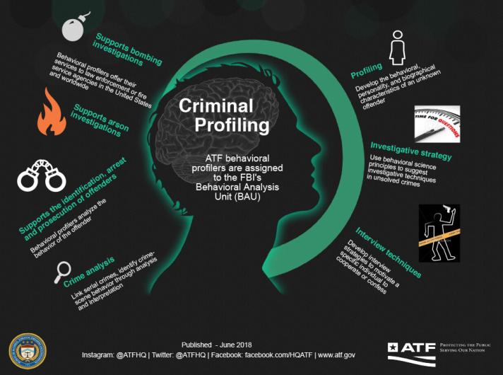 Criminal Profiling Infographic